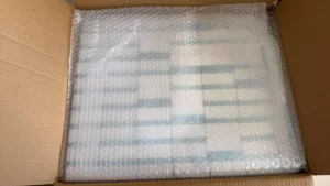 Bubble cushion packaging