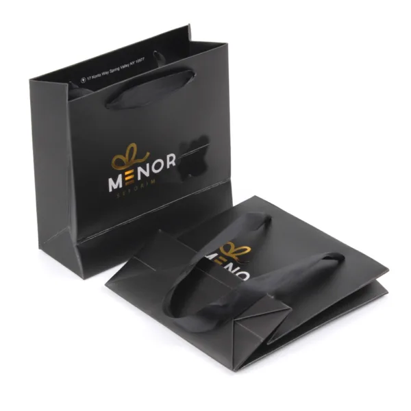 paper bag with handle