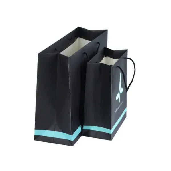 Paper Bags with Handles