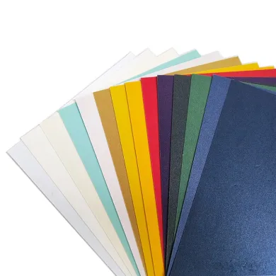 Special Paper